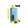 Saltica Ekranlı 10000 Blue Razz Lemon Disposable Vape Bar