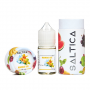 Saltica Mango Ice Salt Likit